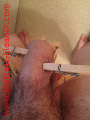 Cock & Ball Torture